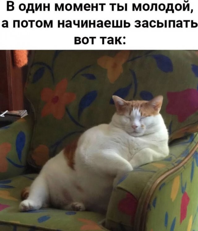 Скрины из соцсетей