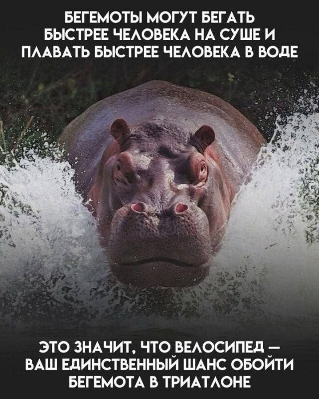 Скрины из соцсетей