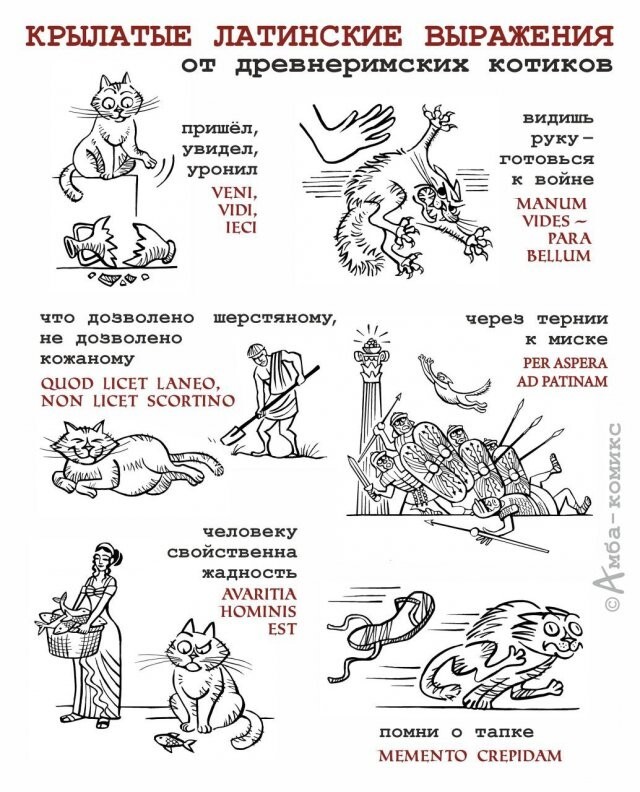 Скрины из соцсетей