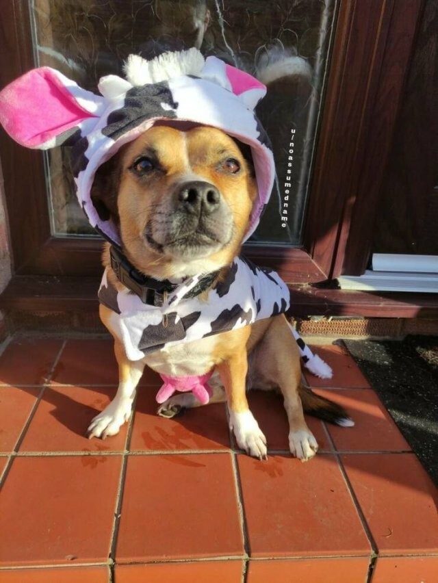 Намешалось