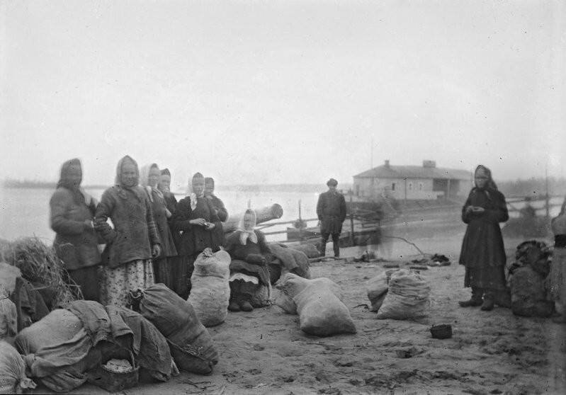 Крестьяне. Село Нименьга Онежского уезда Архангельской губернии