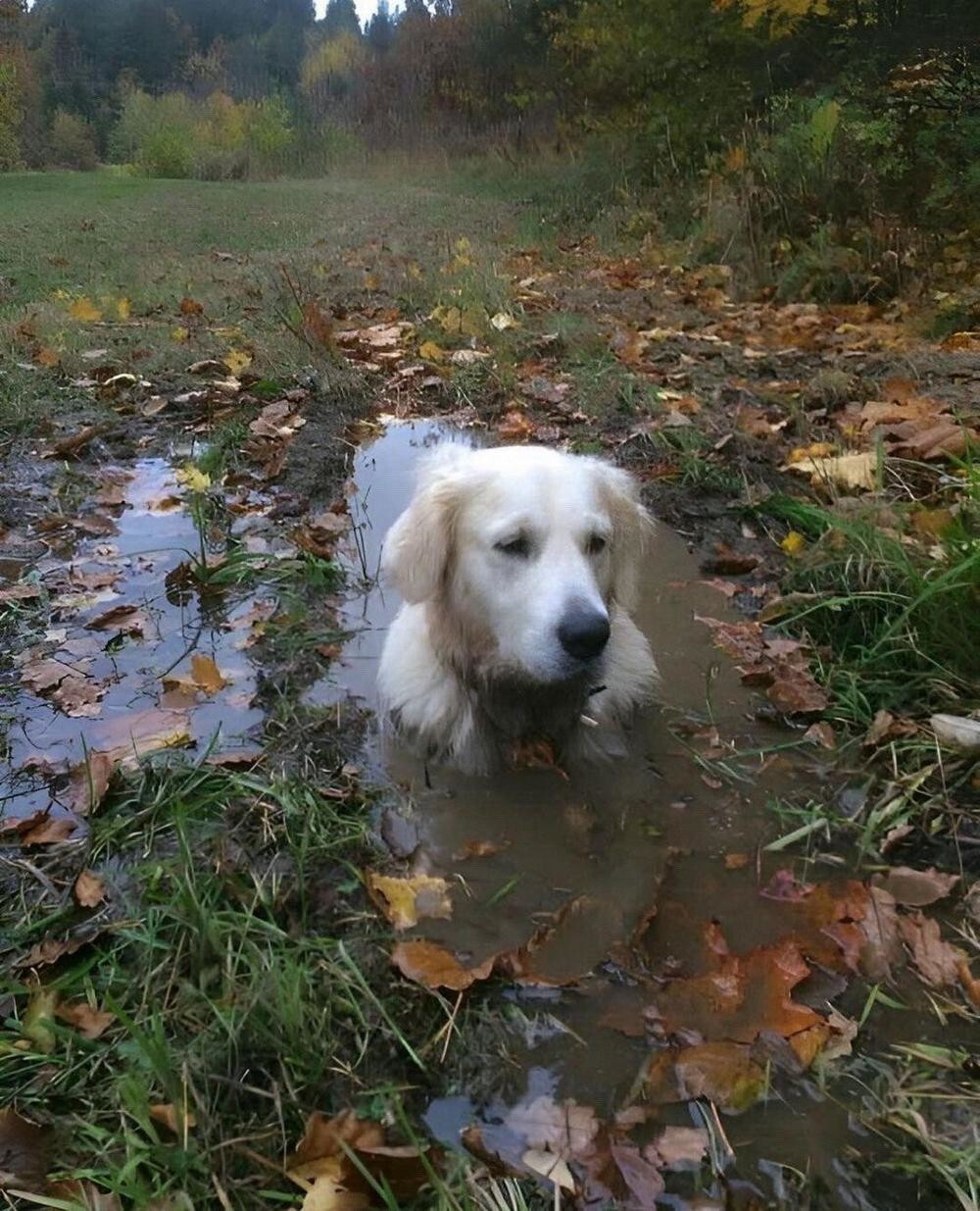 На общую тему&nbsp;
