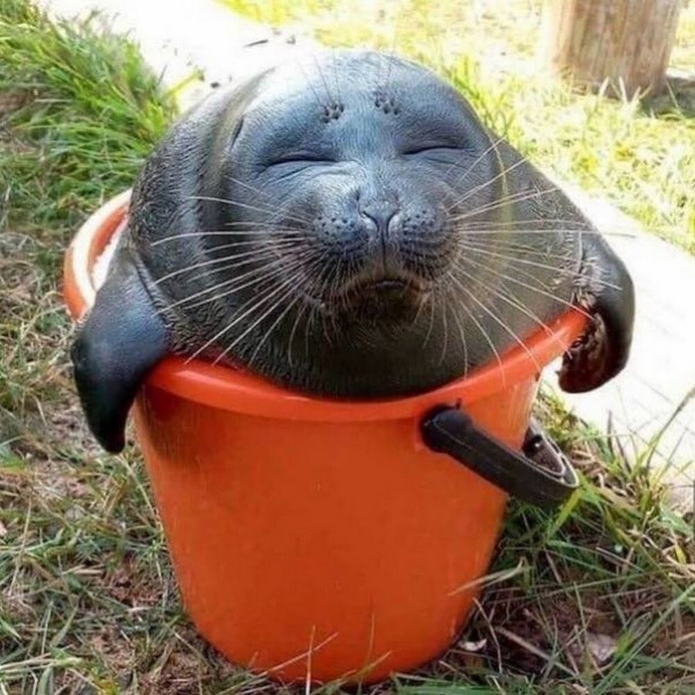 На общую тему&nbsp;