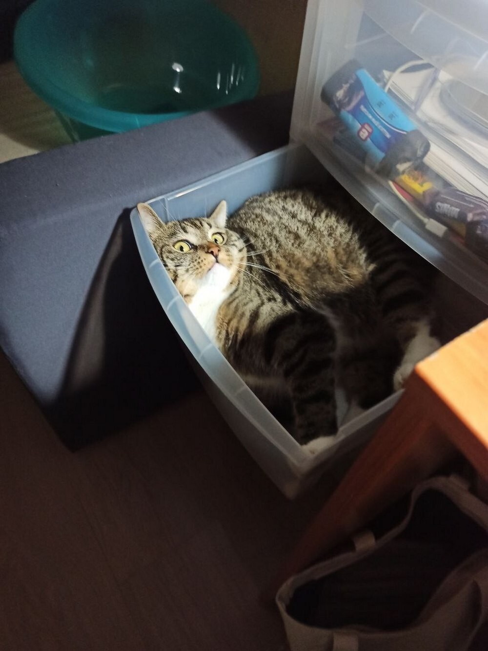 На общую тему&nbsp;