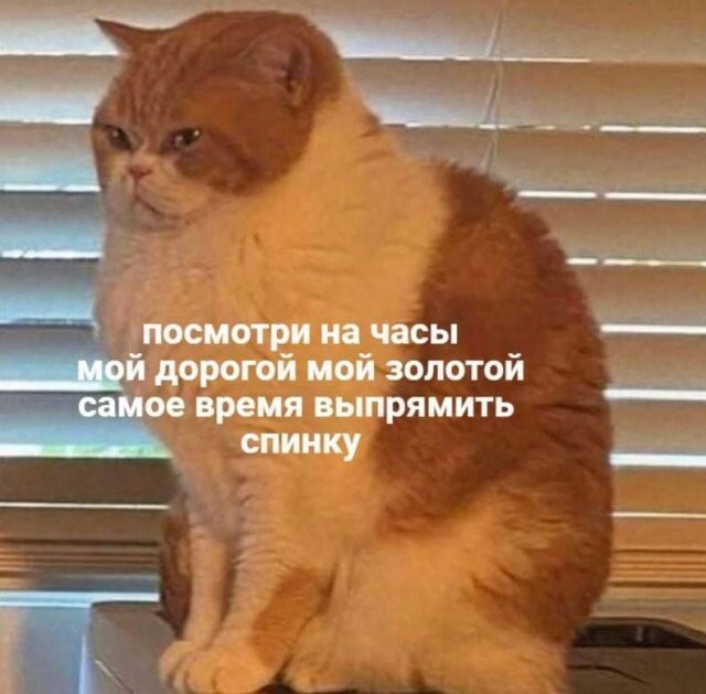 Скрины из соцсетей&nbsp;&nbsp;&nbsp;&nbsp;&nbsp;&nbsp;&nbsp;&nbsp;&nbsp;&nbsp;&nbsp;&nbsp;