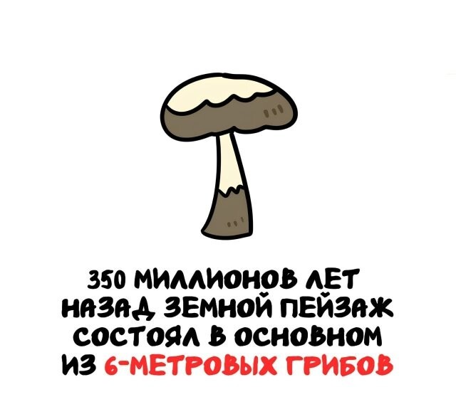 А вдруг ты не знал…