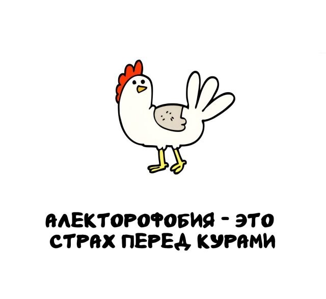 А вдруг ты не знал…