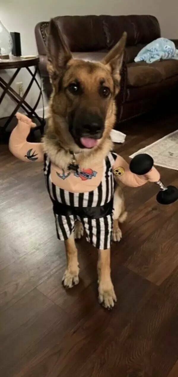 Намешалось