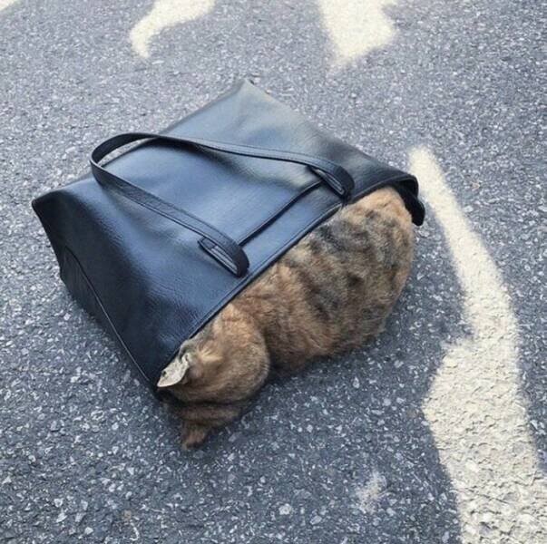 Намешалось