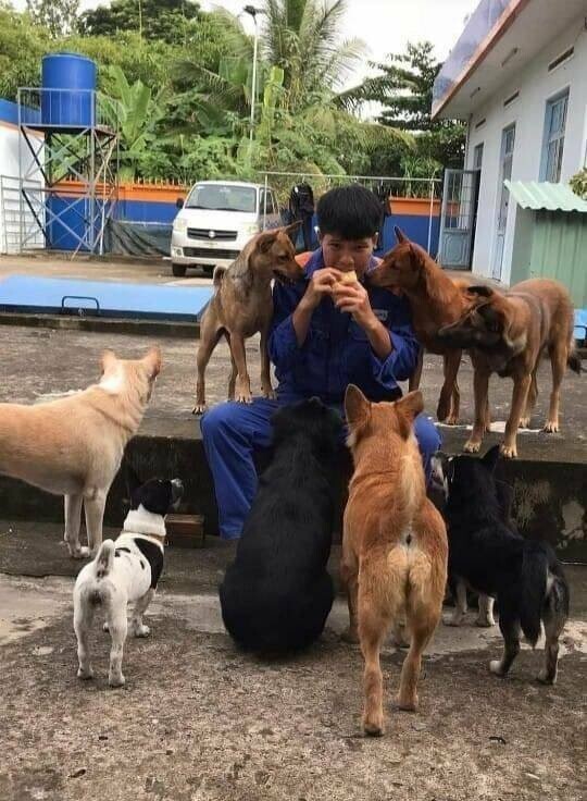 Намешалось