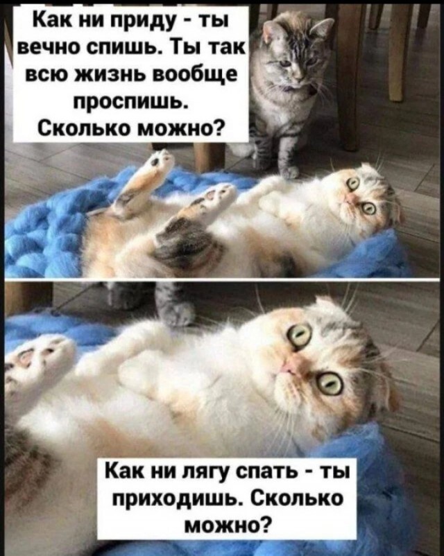 Не ищите здесь смысл. Здесь в основном маразм