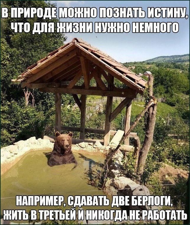 Не ищите здесь смысл. Здесь в основном маразм