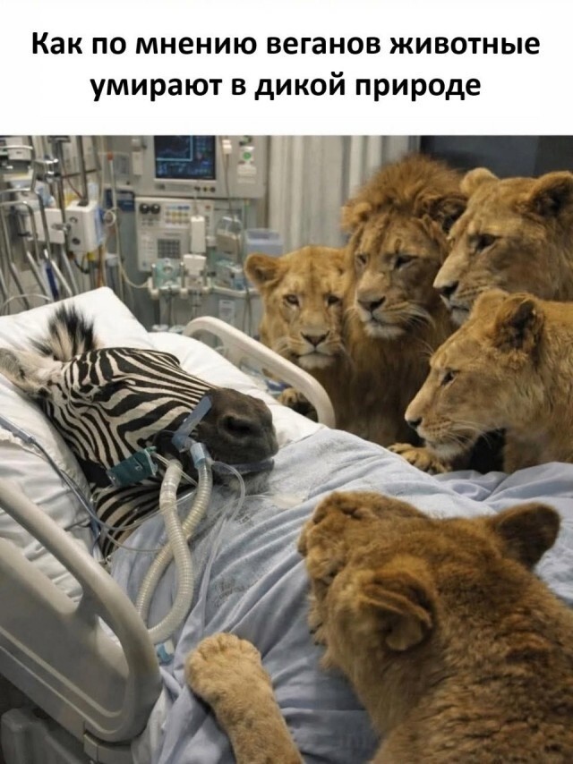 Не ищите здесь смысл. Здесь в основном маразм