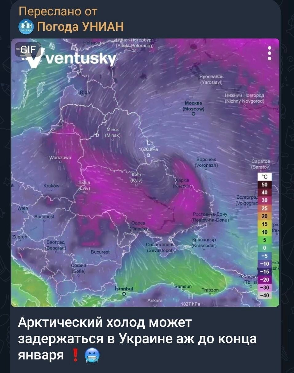 Украину накрыло селёдкой под шубой