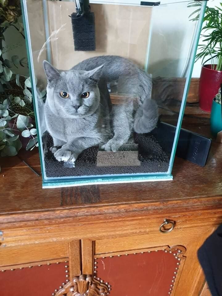 2. Рыба твоей мечты