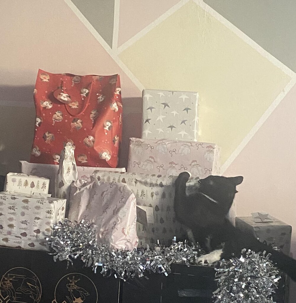 14. Лучший ваш подарочек - это я