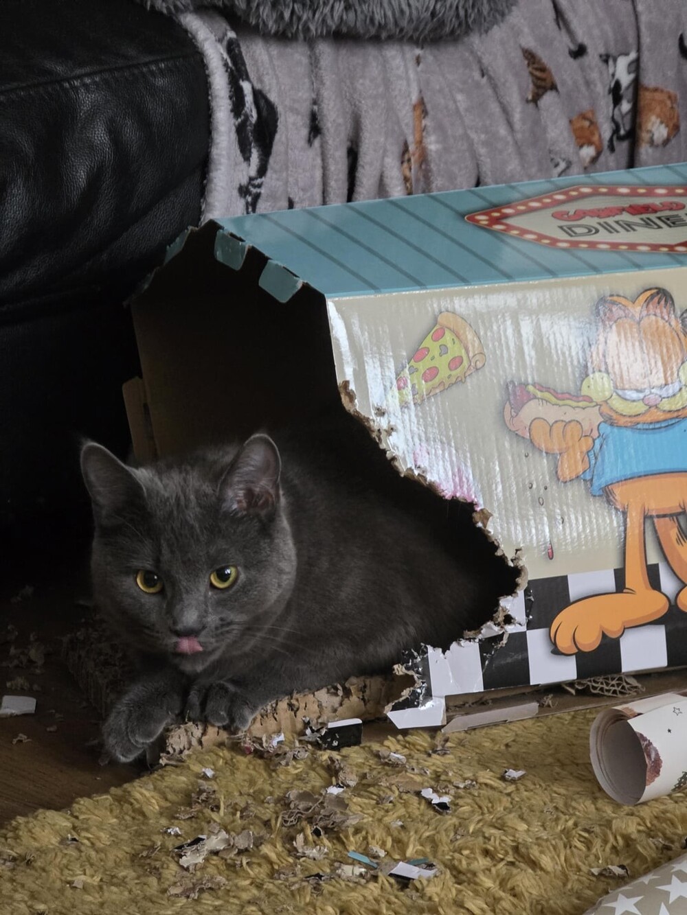 19. Домашний утилизатор