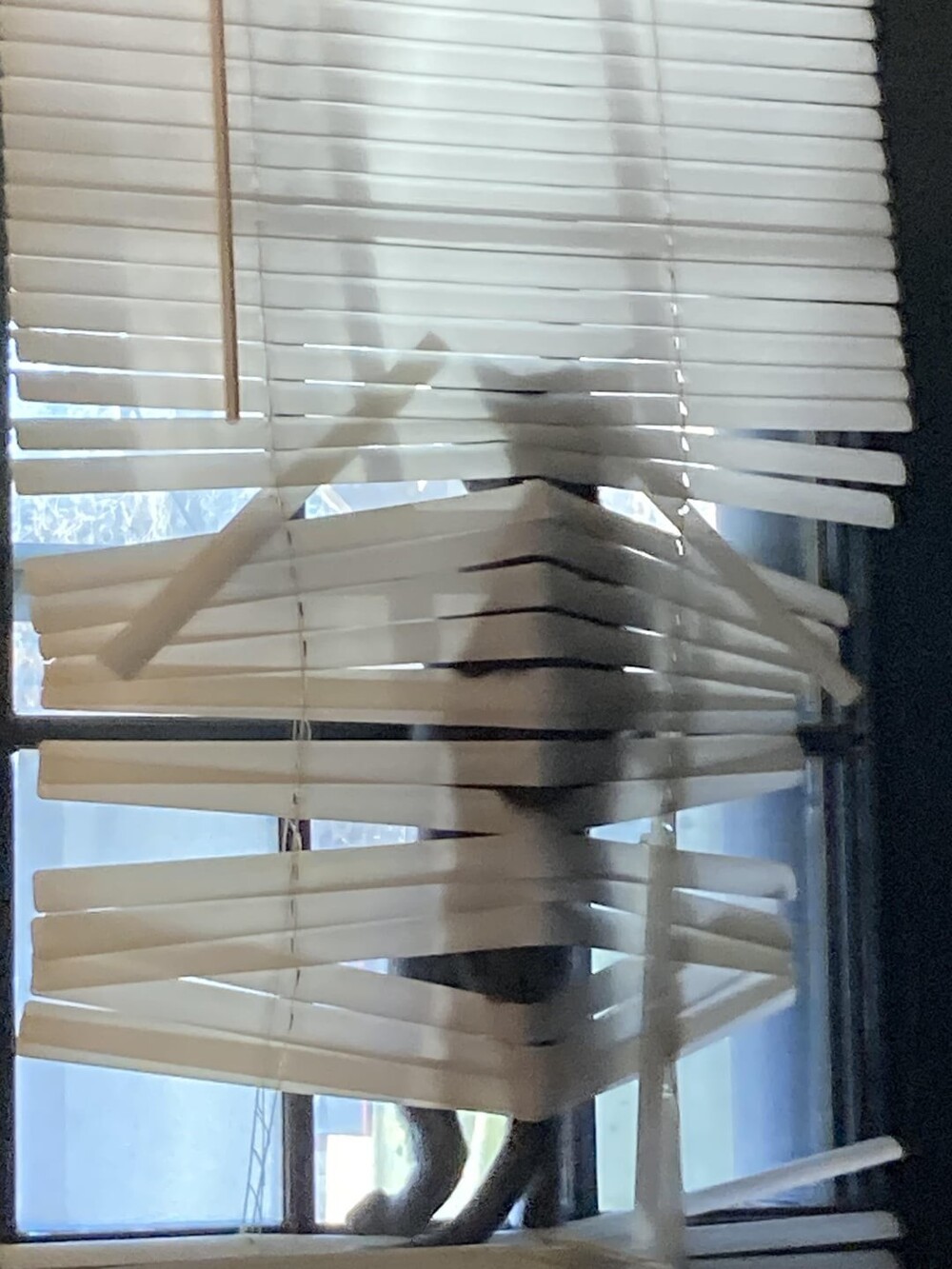 17. А сейчас сыграем в интересную игру - прятки