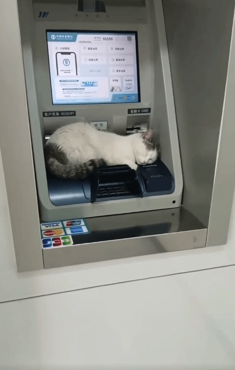 7. Мошенники не пройдут