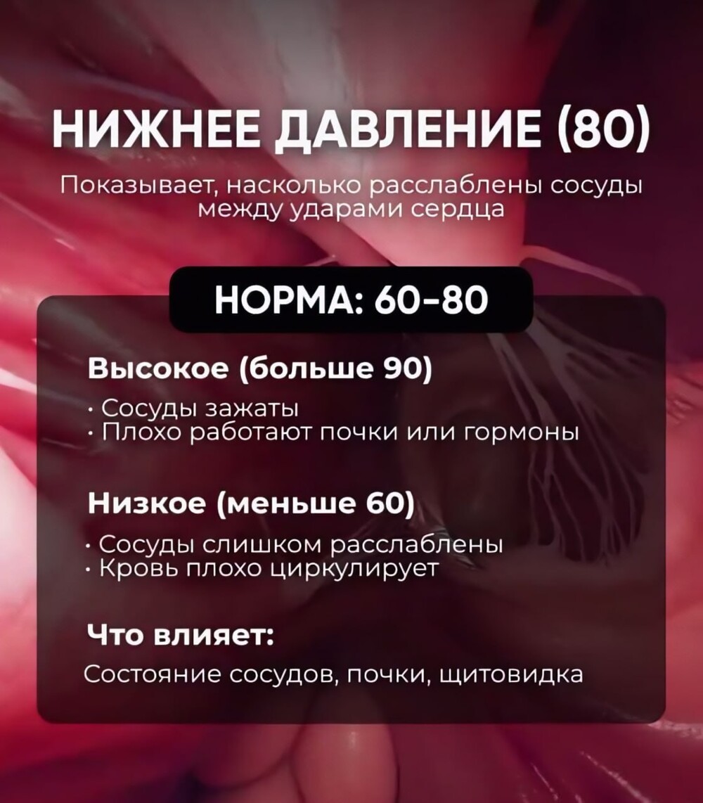 Специально для тех, кому цифры на тонометре ни о чём не говорят