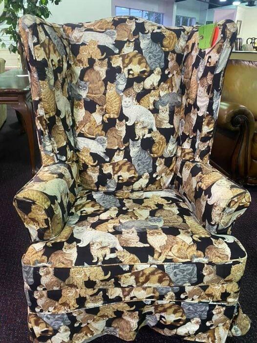 1. Кресло для любителей кошек