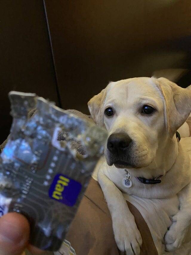 15. Это уже третья кредитка, которую она съела. Никакого раскаяния