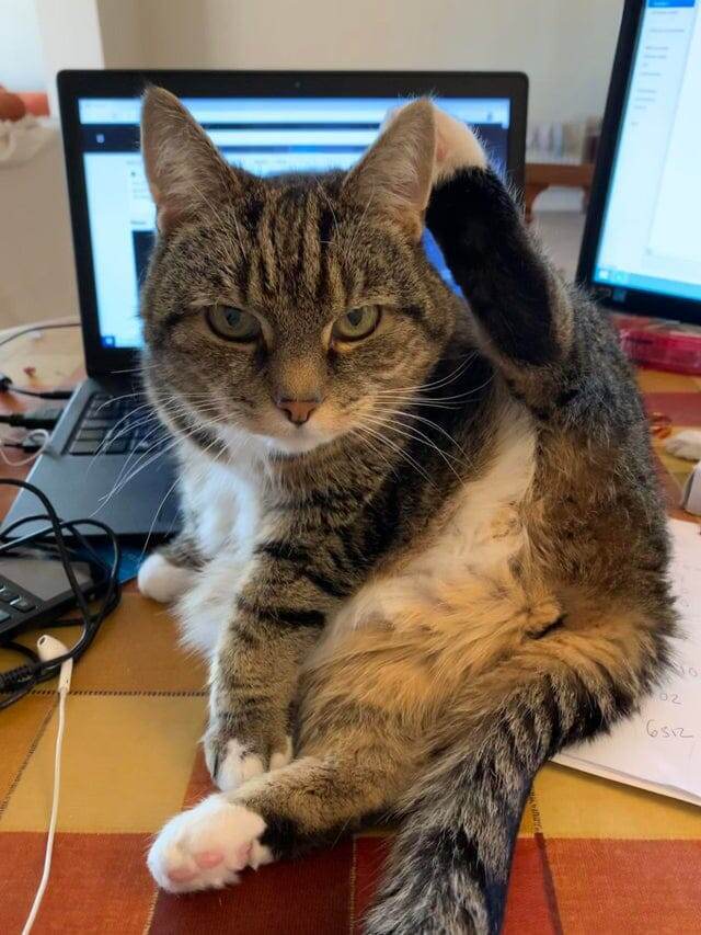 10. Он вообще не помогает мне с работой