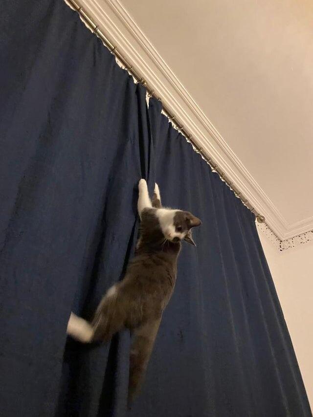 4. Новые шторы