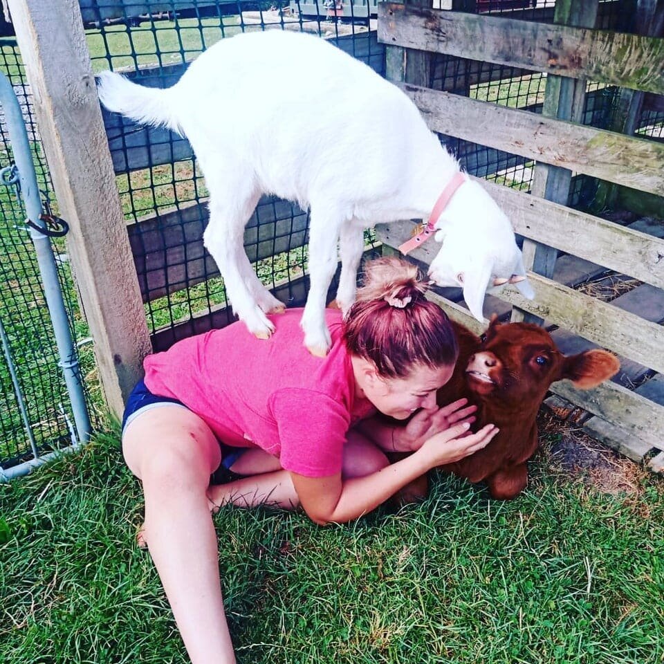 3. Человек, поиграем?