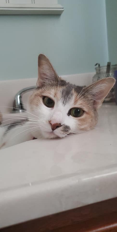 16 странных вещиц, которые стали звёздами барахолок