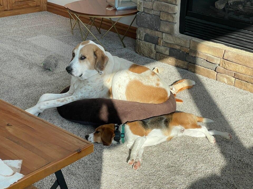 13. Украл кровать своего младшего брата и одарил меня таким взглядом, когда я попросила его подвинуться