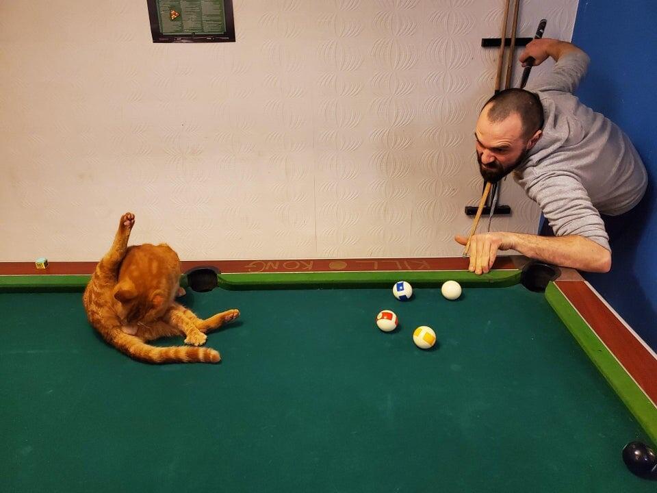 8. Какой такой бильярд? У меня здесь процедуры