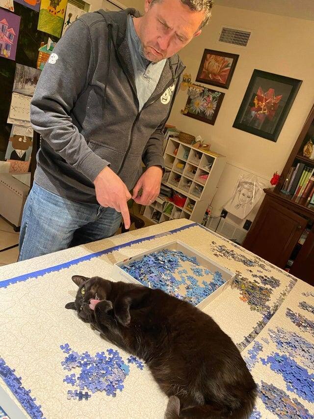 5. Никаких признаков сожаления на морде