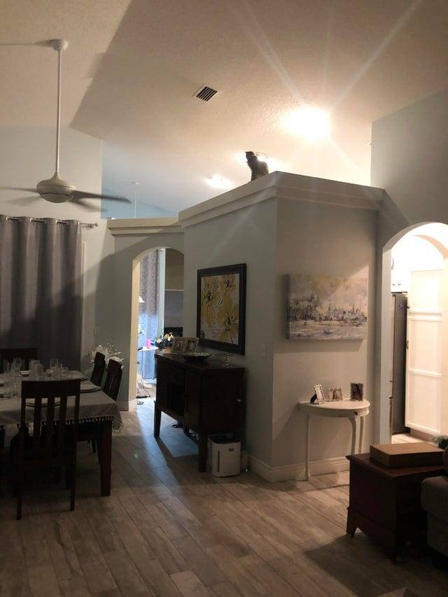 7. Как заставить хозяйку плакать одним движением хвоста