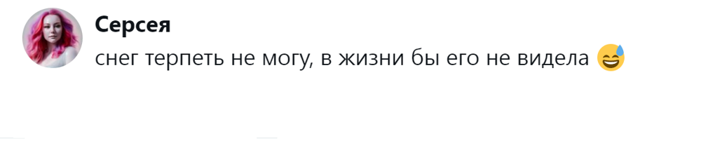8. Кто ни разу в жизни не видел снега, тот ничего не потерял