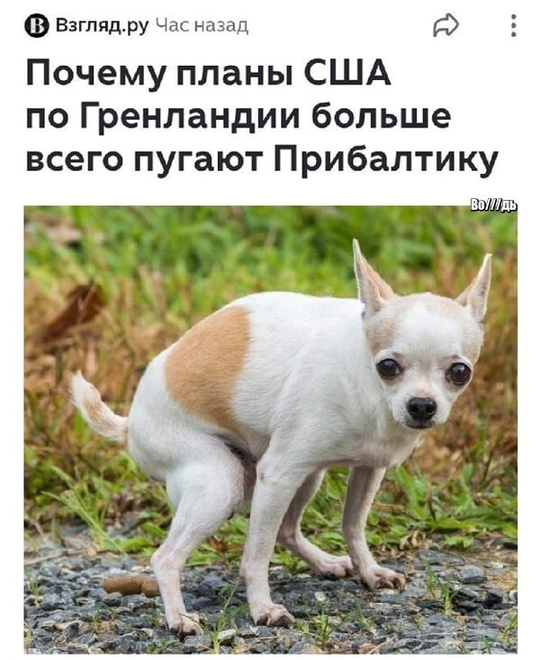 Традиции...