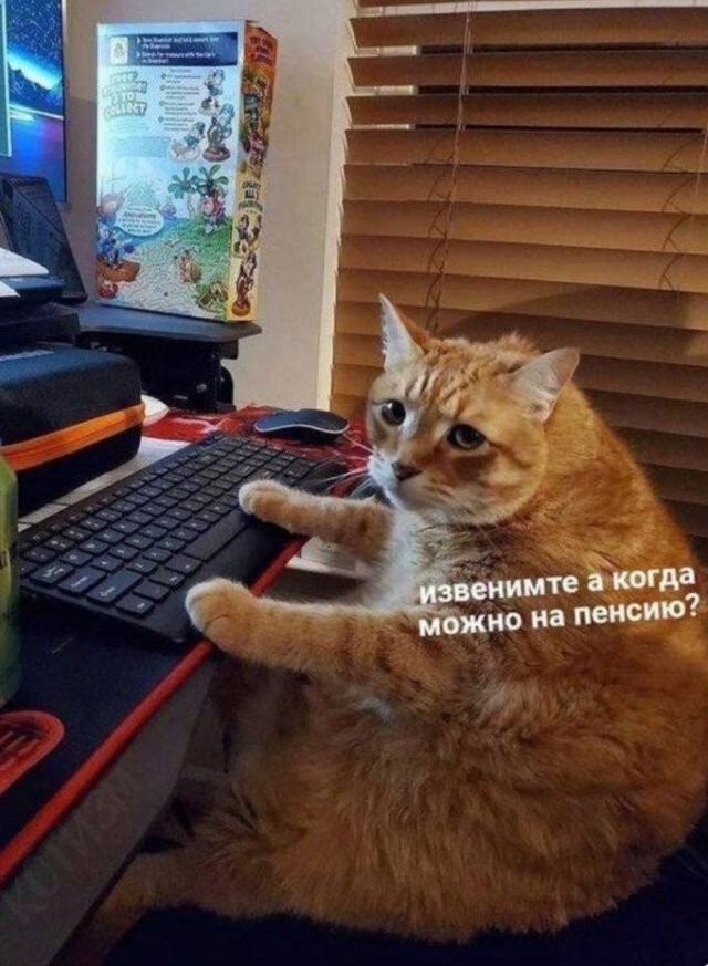 Скрины из соцсетей