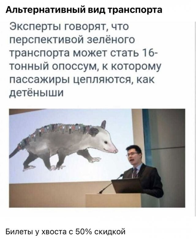 Скрины из соцсетей