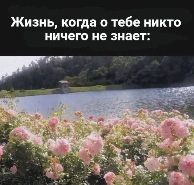 Скрины из соцсетей