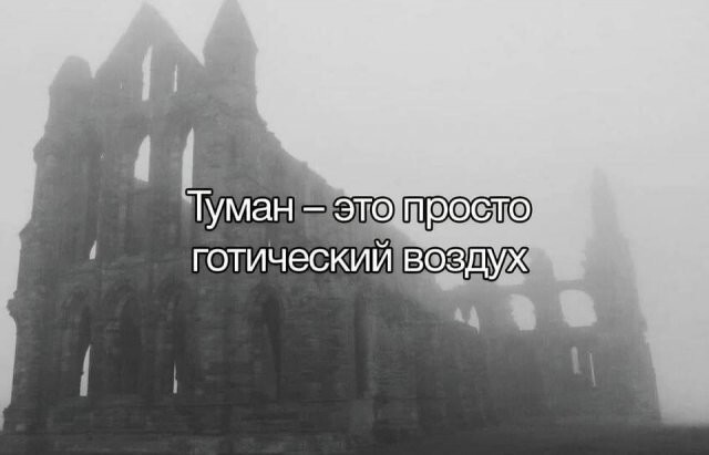 Скрины из соцсетей