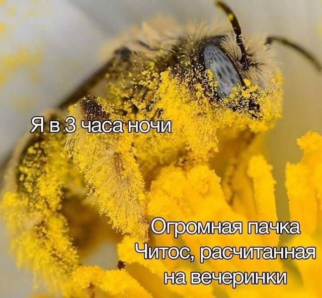 Скрины из соцсетей