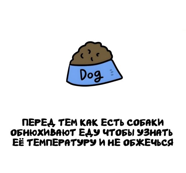 А вдруг ты не знал…