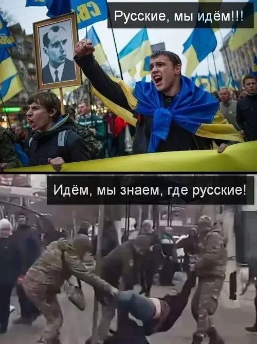 Чож вы мрази все сразу зассали?