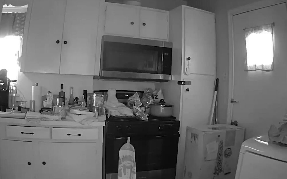 Кот устроил пожар на кухне