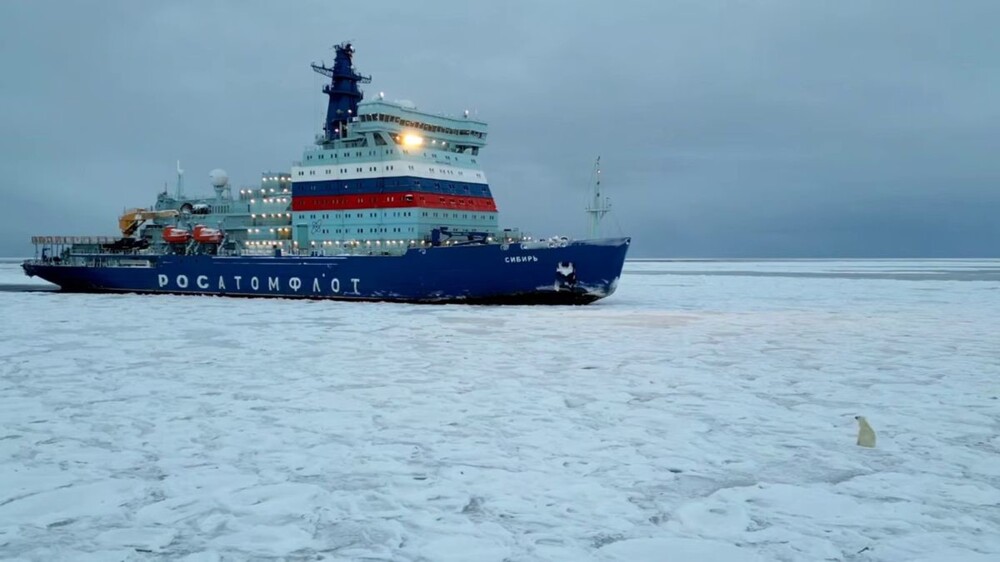 Белый медведь осмотрел ледокол