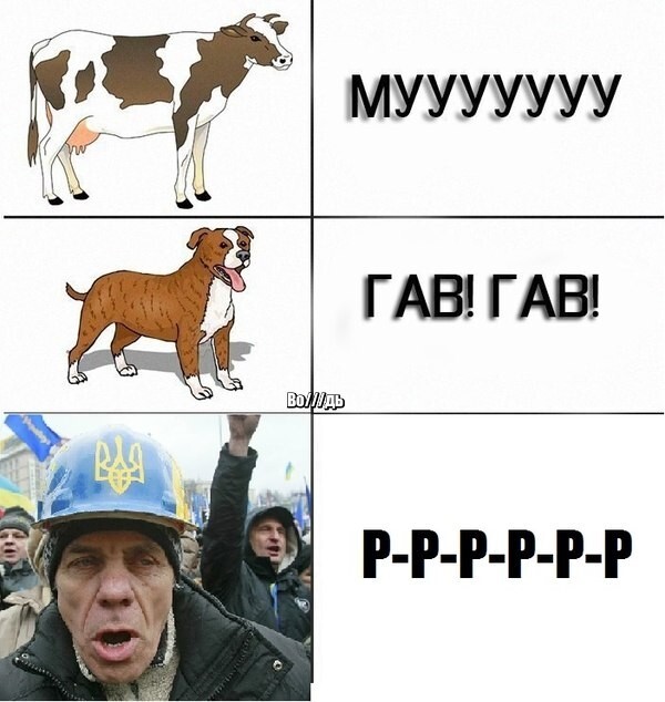 В мире животных...