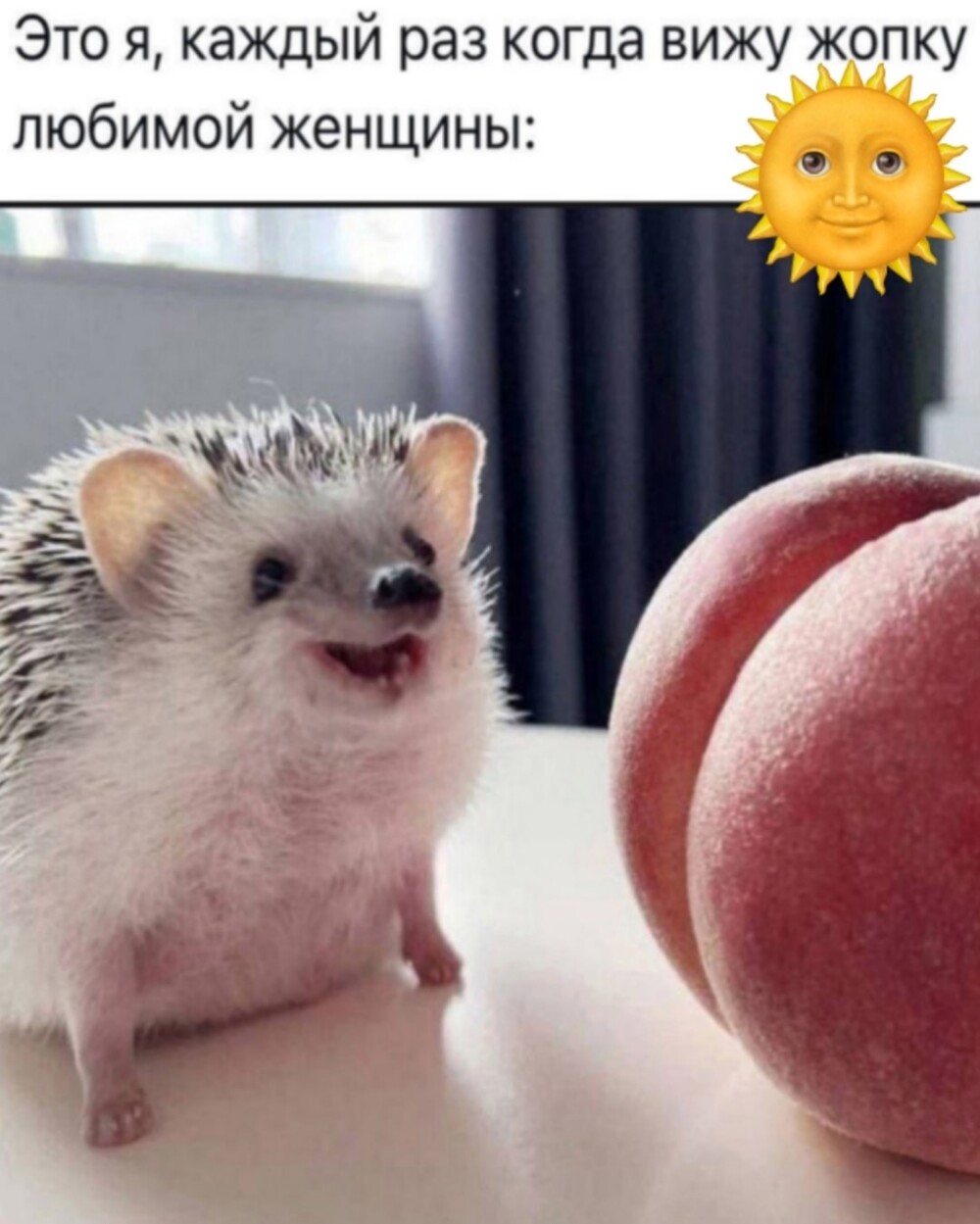 Большая тарелка улыбатора