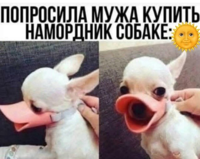 Большая тарелка улыбатора