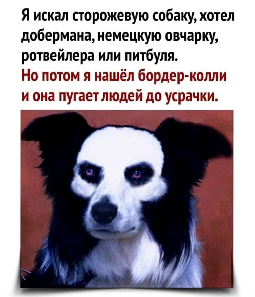 Большая тарелка улыбатора