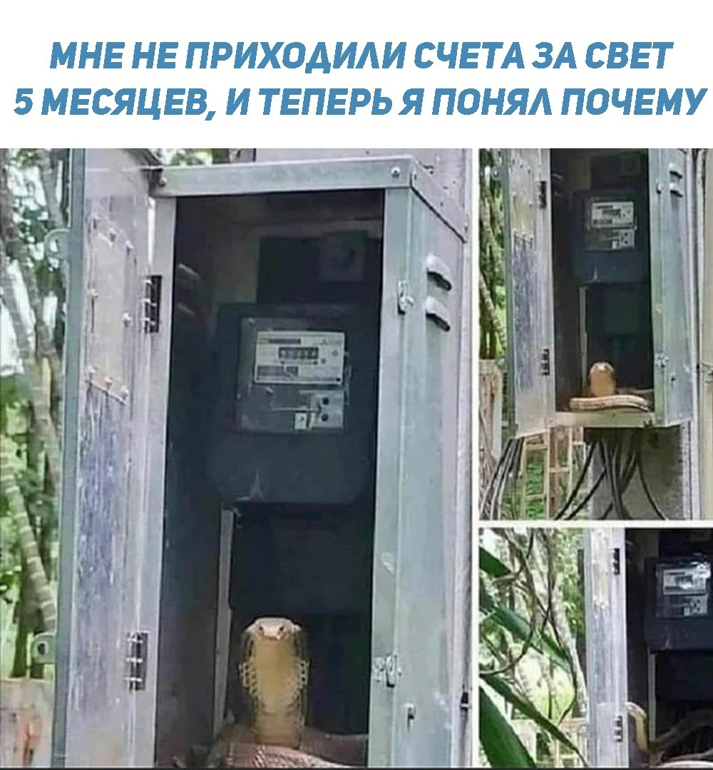 Большая тарелка улыбатора